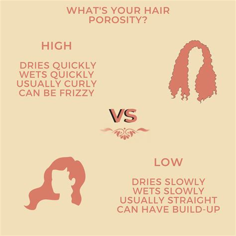 Is High Porosity Hair Vs Low Porosity Hair Challenging to Manage?