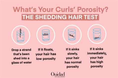Is Low Porosity Hair Vs High Challenging to Manage?