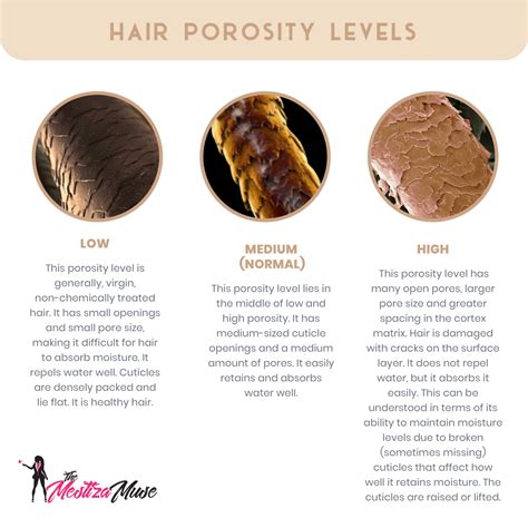 When Should You Consult a Specialist for How to Treat Low Porosity Hair?