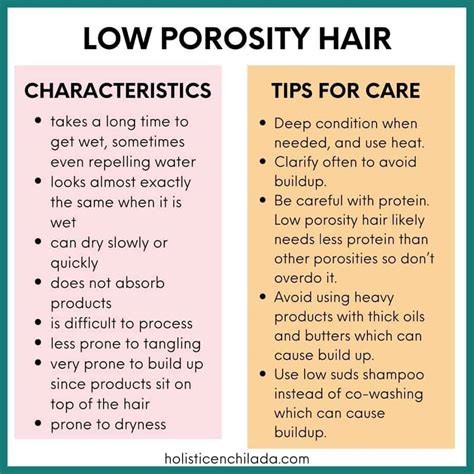 Why Is Hair Moisturizer for Low Porosity Different From Other Types?