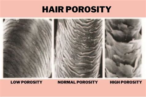 Why Is Is Fable and Mane Good for Low Porosity Hair Different From Other Types?